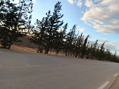 Vente Terrain Agricole Tébessa Bir Dheb
