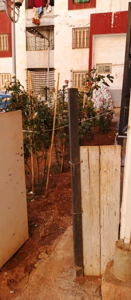 Vente Appartement F3 Tipaza 