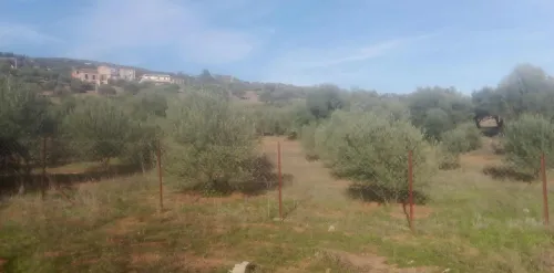 Vente Terrain Béjaïa Tazmaltdaira