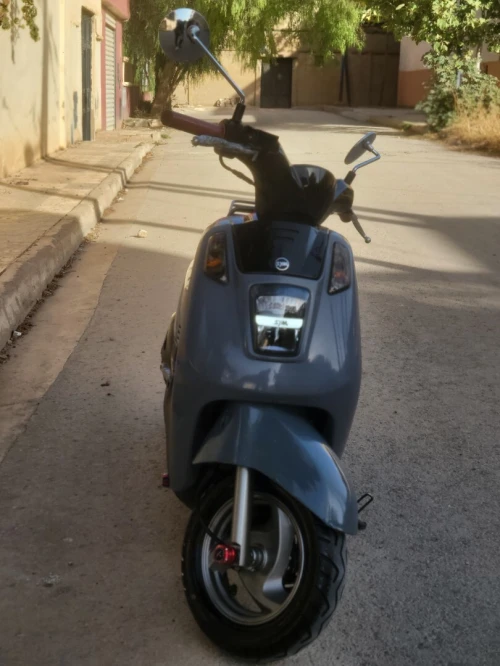 sym tonik 2025