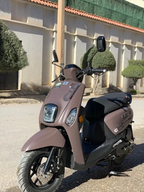 Vms Cuxi 2 2026