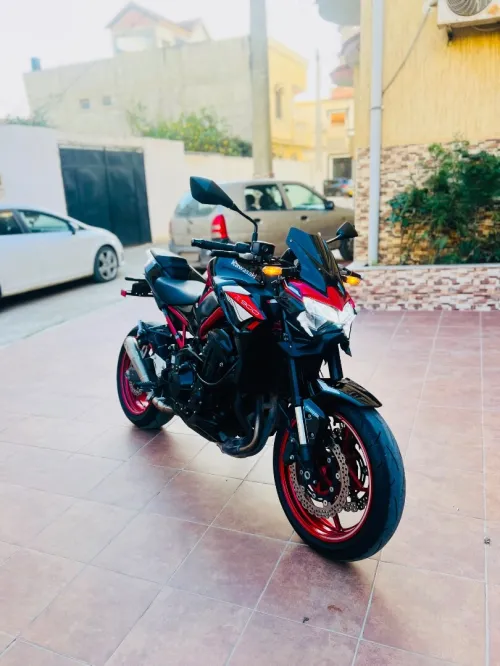 Kawasaki Z900 2024