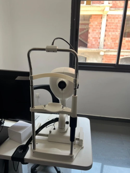 OPHTALMIC OPTICAL COHERENCE TOMOGRAPHY SYSTEM