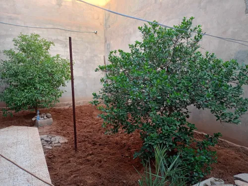 Vente Villa Béchar Bechar