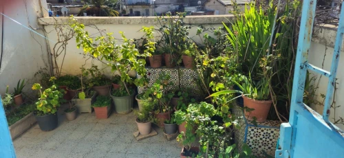 Vente Appartement F3 Alger El biar