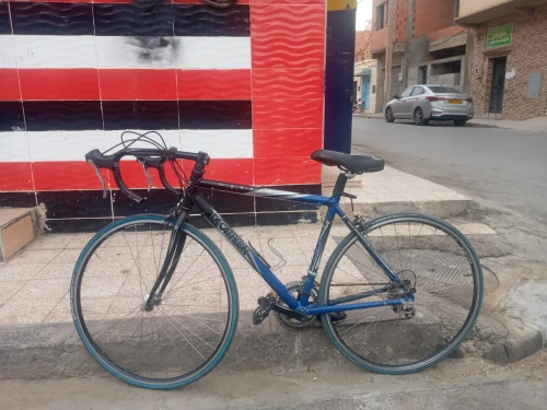 Vélo course professionnelle