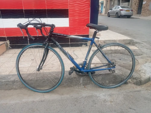 Vélo course professionnelle