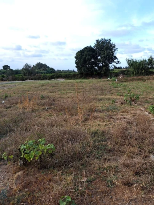 Vente Terrain Boumerdès Ouled moussa
