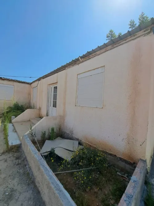 Location Terrain Boumerdès Hammedi