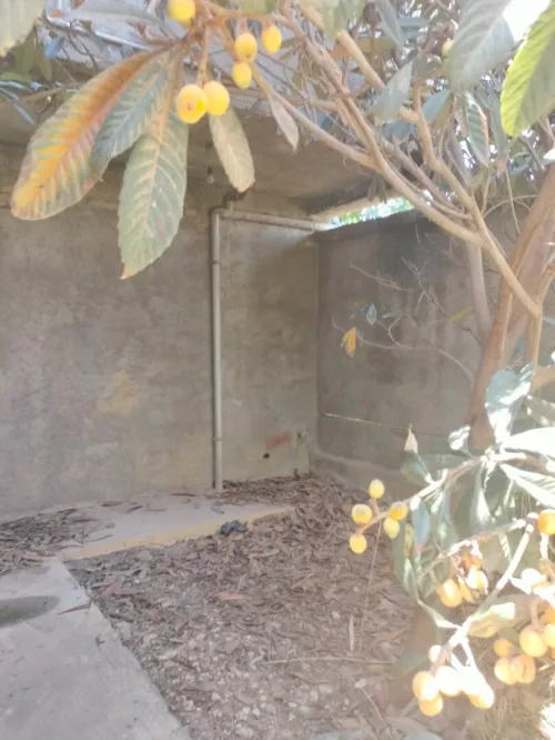 Vente Villa Boumerdès Ouled moussa