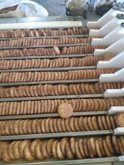 ligne biscuit