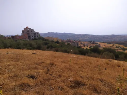 Vente Terrain Boumerdès Larbatache