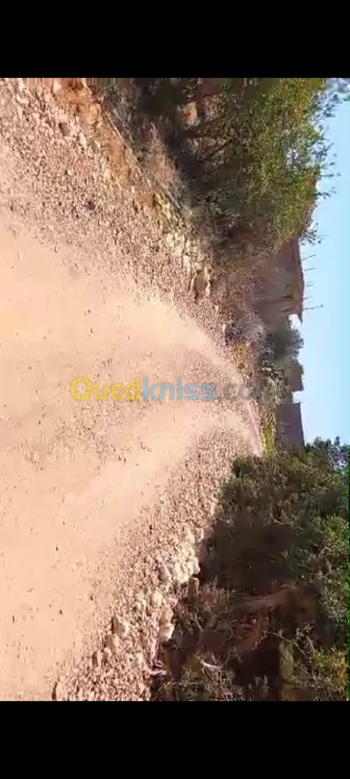 Vente Terrain Mostaganem Sidi lakhdaara