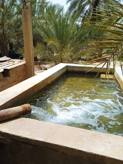 Vente bien immobilier Biskra Tolga