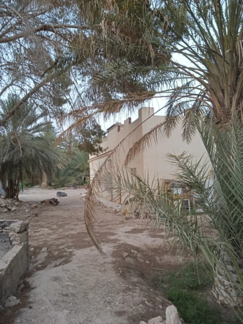 Vente bien immobilier Biskra Tolga