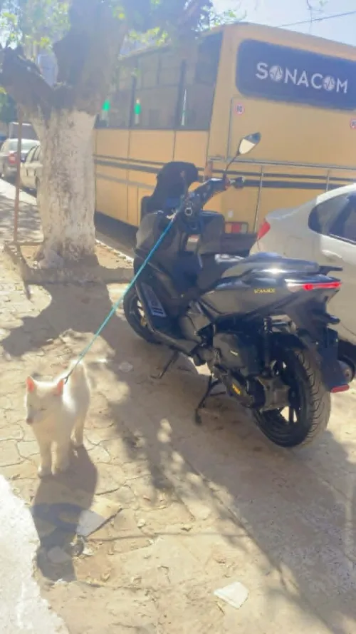 Vms V-max 2023