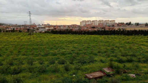 Vente Villa Boumerdès Hammedi
