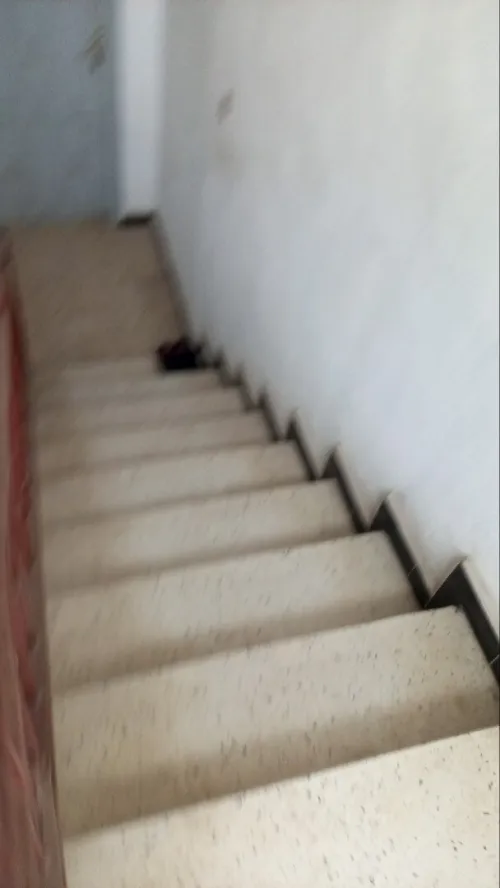 Location Villa Alger Dar el beida