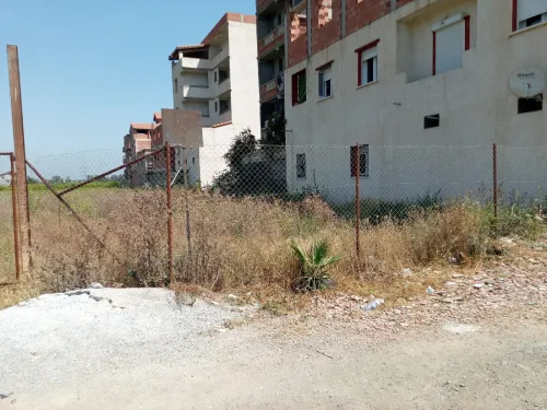 Vente Terrain Boumerdès Khemis el khechna 6