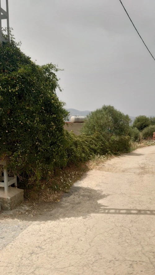 Vente Terrain Tizi Ouzou Boudjima