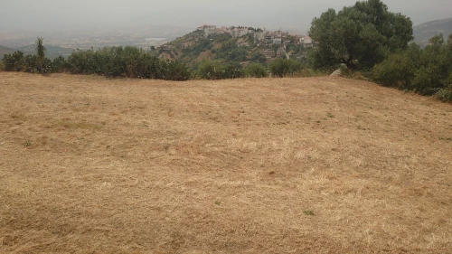 Vente Terrain Tizi Ouzou Boudjima