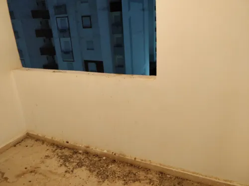 Echange Appartement F3 Constantine El khroub