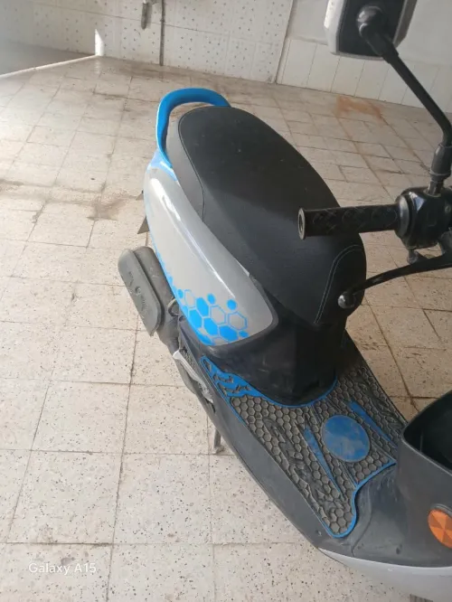 Vms Estat  x 2021