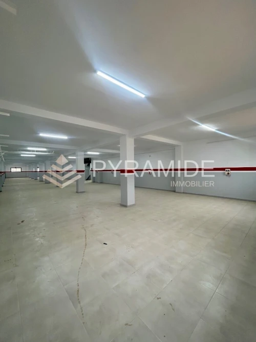 Vente Hangar - Usine Oran Es senia