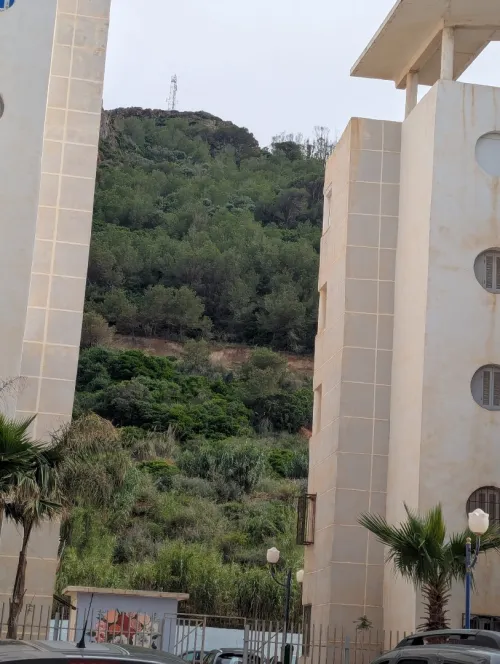 Vente Appartement F4 Alger Hammamet