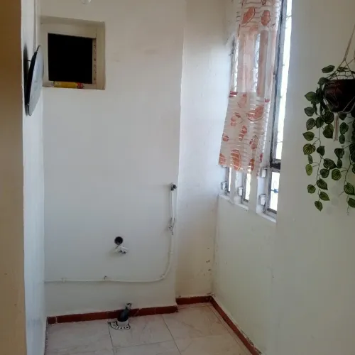 Location Appartement Aïn Témouchent Ain temouchent