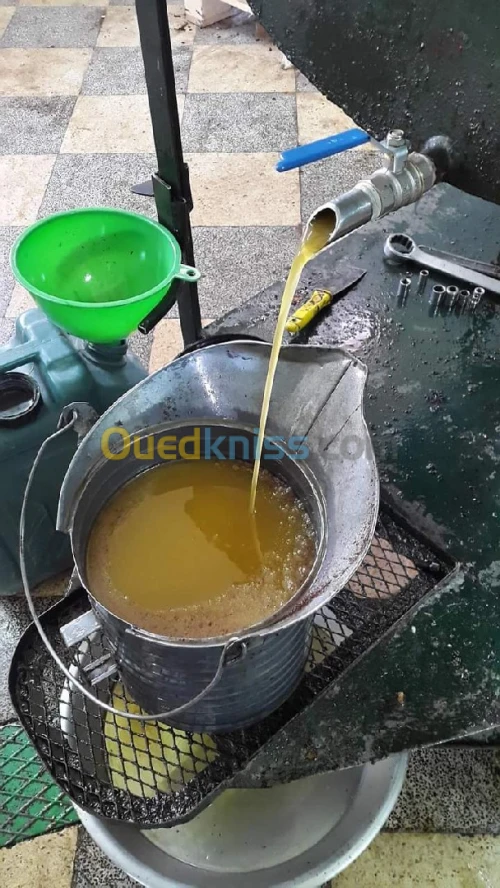زيت الزيتون البكر بني معوش بجاية