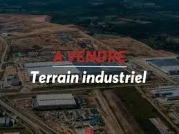 Vente Terrain Oran Tafraoui
