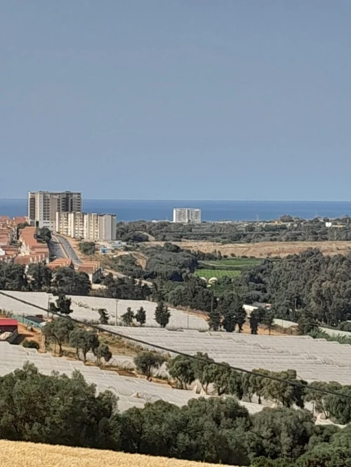 Vente Appartement F3 Tipaza Douaouda