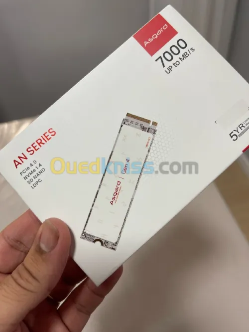 Asgard-Disque dur SSD NVMe, 1 To
