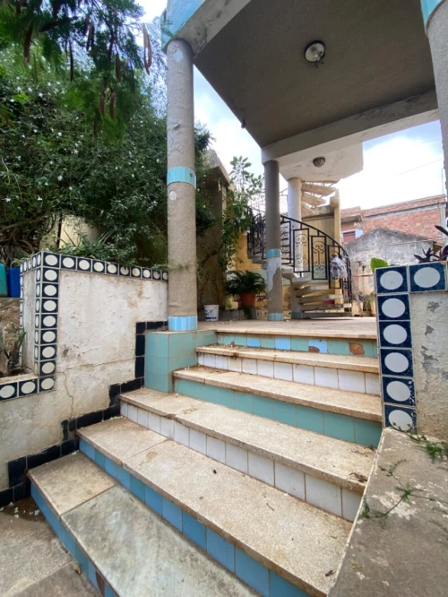 Vente Terrain Alger Saoula