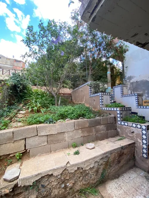Vente Terrain Alger Saoula