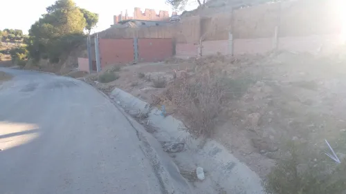 Vente Terrain Tipaza Cherchell