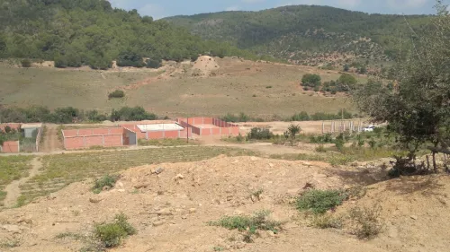 Vente Terrain Tipaza Cherchell