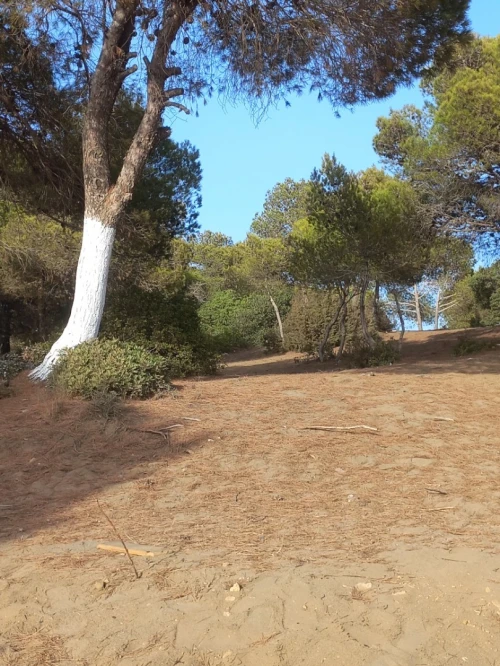 Location Appartement F2 Boumerdès Zemmouri