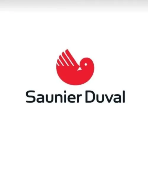 Réparation, chaudière Saunier Duval