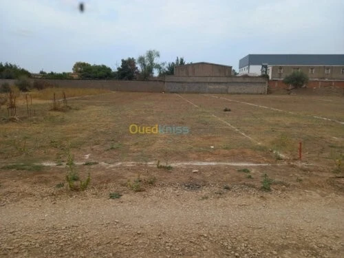 Vente Terrain Alger Baraki