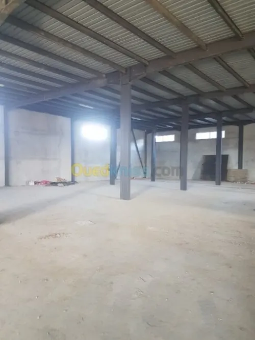 Location Hangar Alger Baraki
