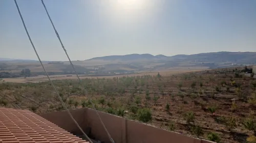 Vente Terrain Agricole Bouira El hachimia