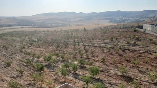 Vente Terrain Agricole Bouira El hachimia