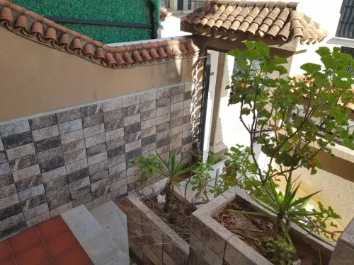 Vente Villa Alger Dely brahim