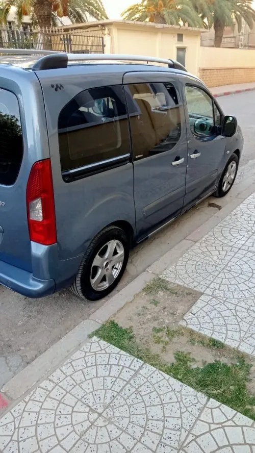 Peugeot Partner 2008 Partner