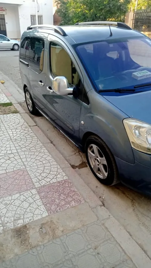 Peugeot Partner 2008 Partner