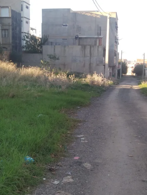 Vente Terrain Boumerdès Ouled moussa
