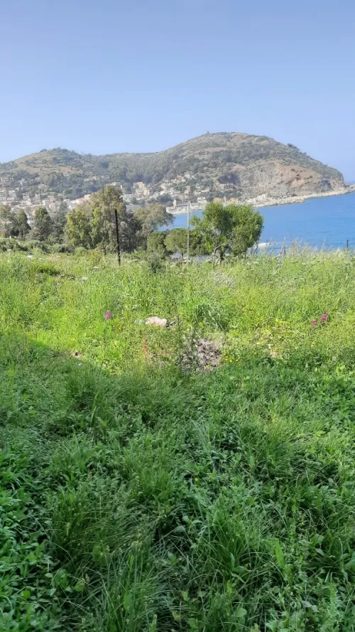 Vente Terrain Annaba Chetaibi