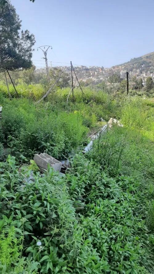 Vente Terrain Annaba Chetaibi